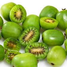 Minikiwi Issai (ghiveci)